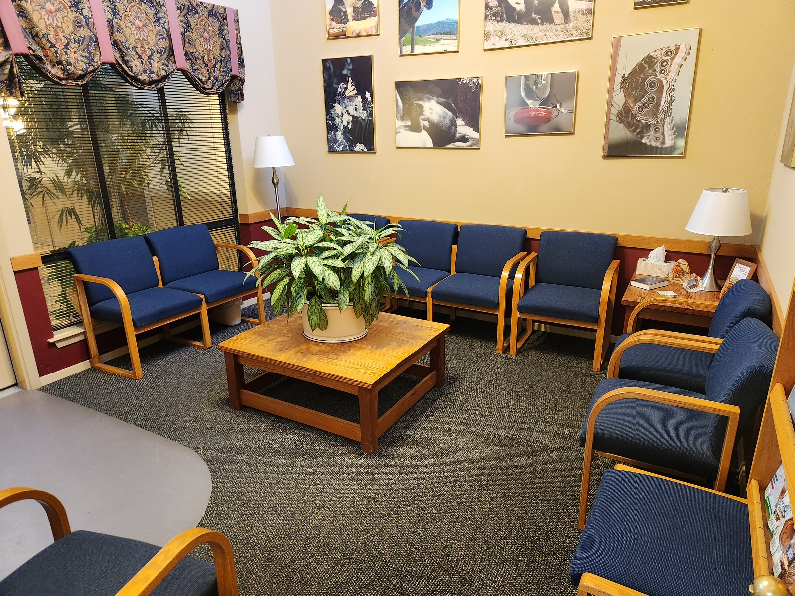 Tan walls, natural wood chair rail and red paint below the chair rail, white trim work, blue commercial carpet. Large art work on the big wall. Blue cushioned arm chairs surround the room. There's a coffee table with a big plant on it in the middle of the room. There is an end table in the corner with a reading lamp in it and another reading lamp in the other corner. There's a large window behind a couple of the walls.