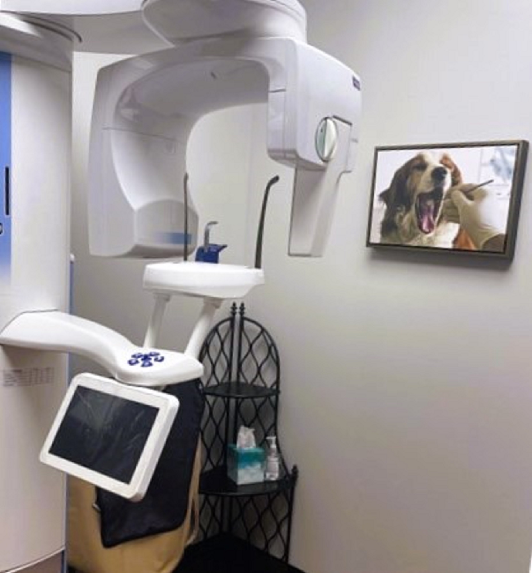 Light grey walls with black baseboards and dark commercial carpet tile flooring. Framed artwork. Black decorative shelving in the corner. A large dental Pano x-ray machine against the wall.