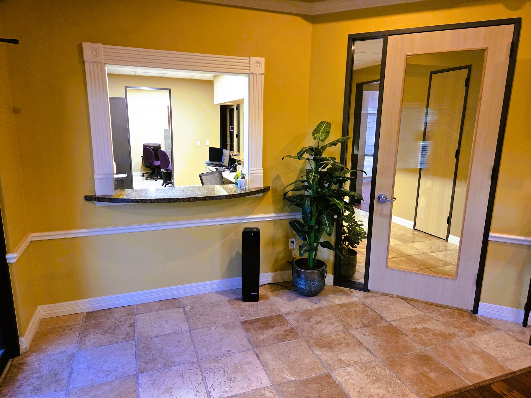 light yellow walls with white crown molding, chair rail, and baseboards. Large terracotta tile flooring. A white framed reception window looks into the front office. There's a medium size plant in the corner next to the wood framed glass door leading to the back of the practice.