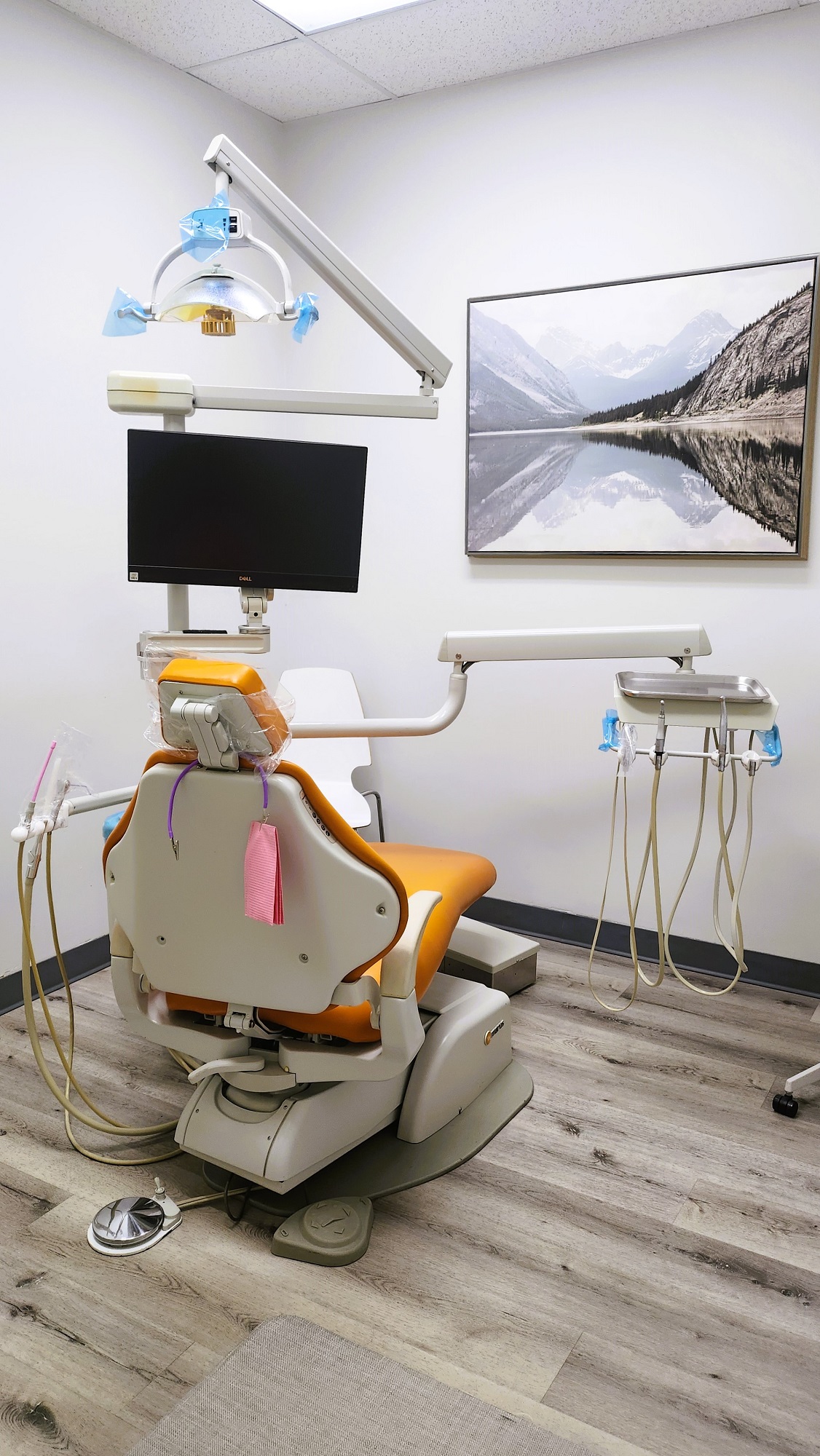 light grey walls with dark baseboards and a piece of large framed artwork. An orange-brown dental operatory chair anchors the room with an overhead dental light.