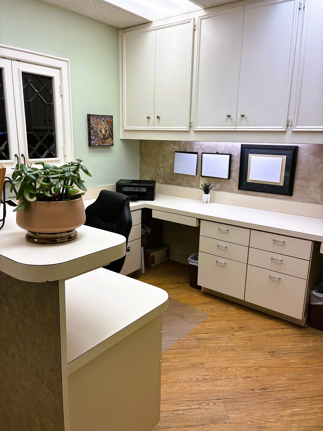 Light walls with hardwood floors. White cabinetry both uppers and lowers holds lots of office material, tools, and supplies. The desk has office equipment on it. There's a potted plant on the countertop in the foreground.